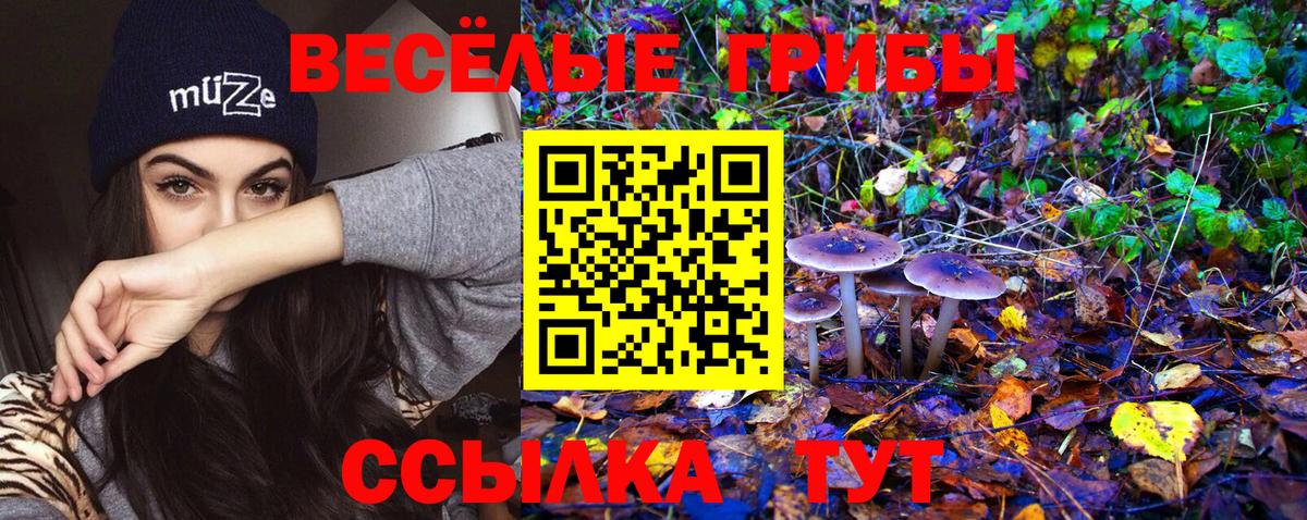 Белорецк  Псилоцибиновые грибы Psilocybine cubensis  Галлюциногенные грибы ЛСД  Вход с VPN 